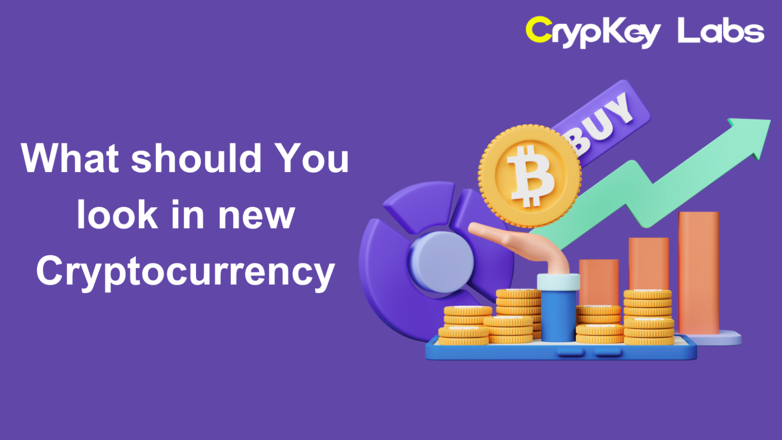 What should You look in new Cryptocurrency