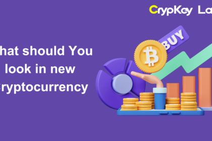 What should You look in new Cryptocurrency