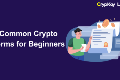 Common Crypto Terms for Beginners