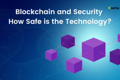 Safe Technology: Blockchain and Security