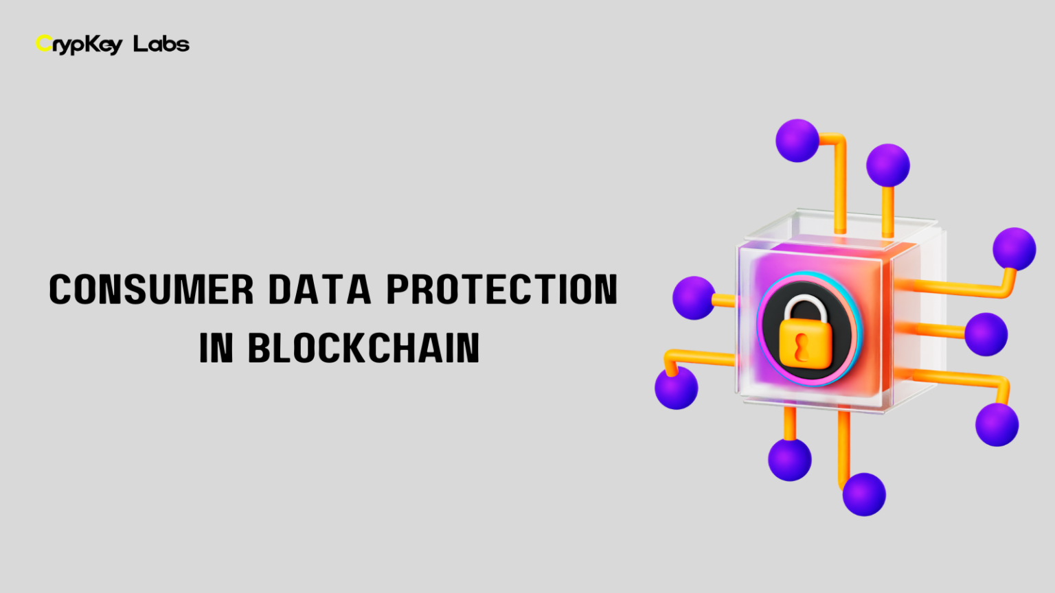 Consumer Data Protection in Blockchain