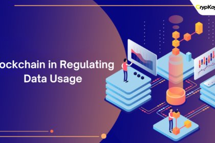 Blockchain in Regulating Data Usage