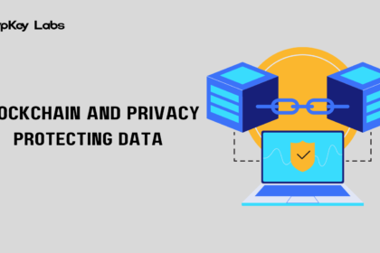 Blockchain and Privacy: Protecting Data