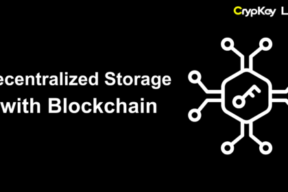 Decentralized Storage with Blockchain