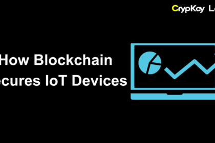 How Blockchain Secures IoT Devices