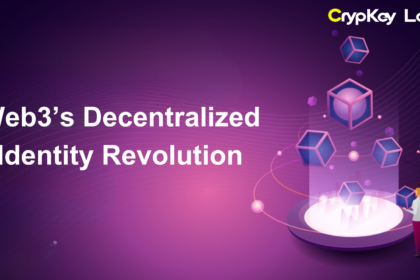 Web3’s Decentralized Identity Revolution