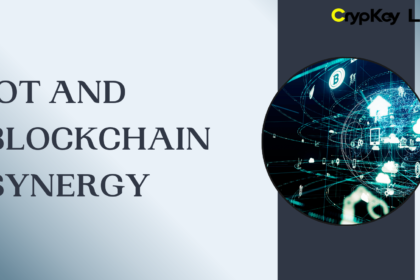 IoT and Blockchain Synergy