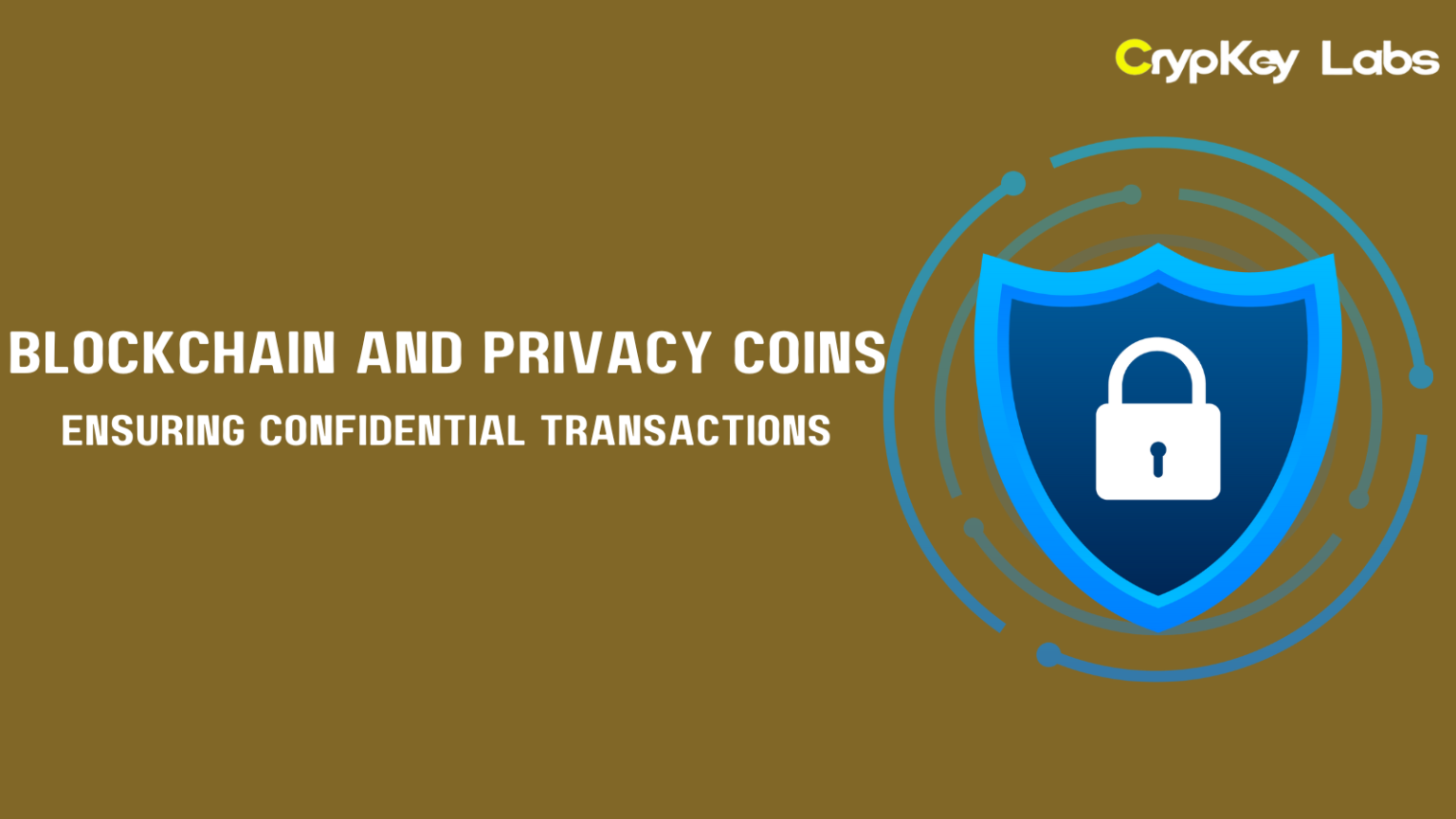 Blockchain and Privacy Coins