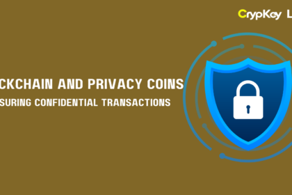 Blockchain and Privacy Coins