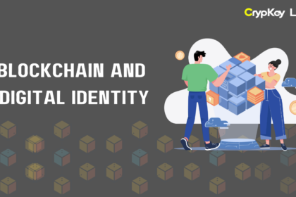 Blockchain and Digital Identity