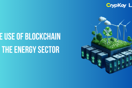 The Use of Blockchain in the Energy Sector