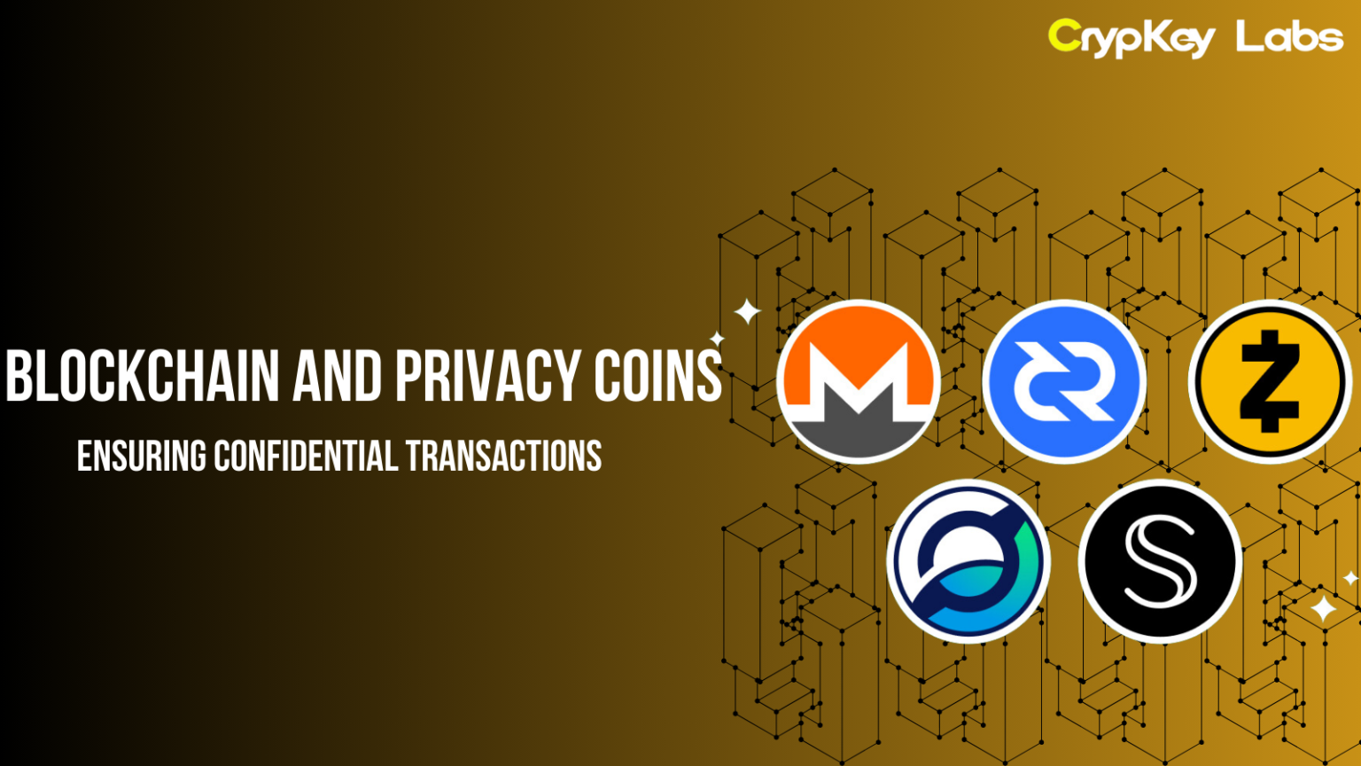 Blockchain and Privacy Coins