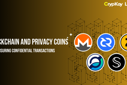 Blockchain and Privacy Coins