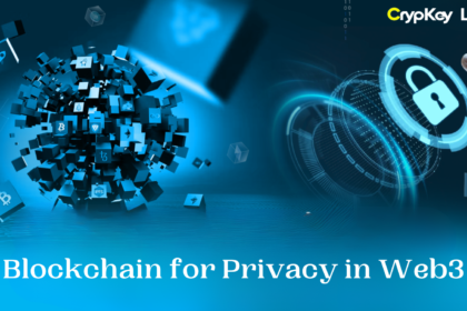 Blockchain for Privacy in Web3