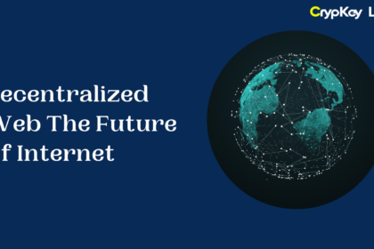 Decentralized Web The Future of Internet