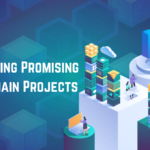 Identifying Promising Blockchain Projects