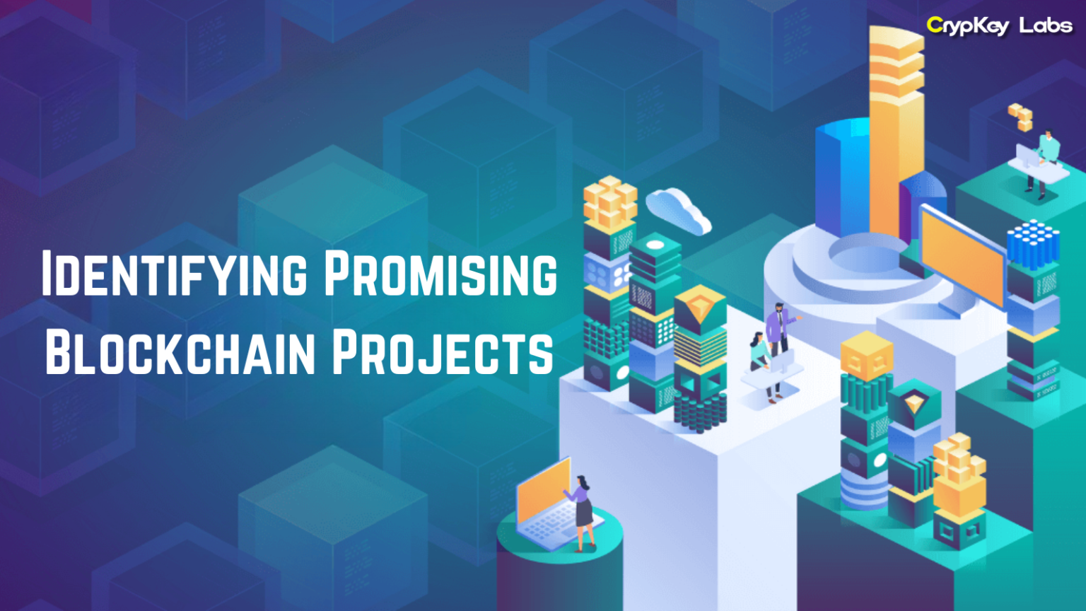 Identifying Promising Blockchain Projects