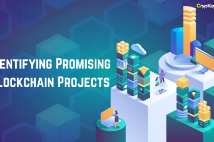 Identifying Promising Blockchain Projects