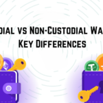 Custodial vs Non-Custodial Wallets