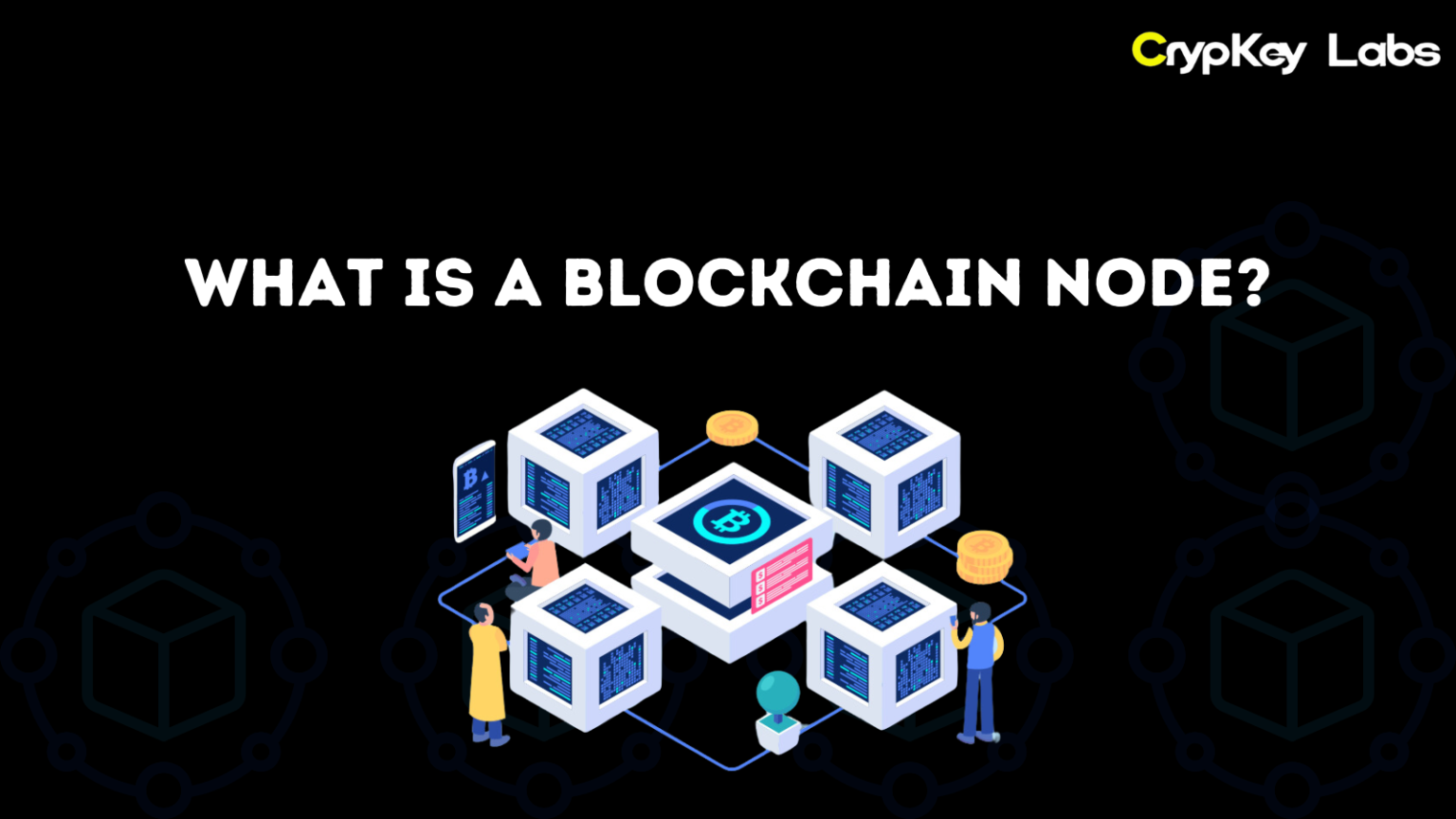 What is a Blockchain Node?