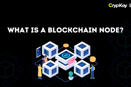 What is a Blockchain Node?