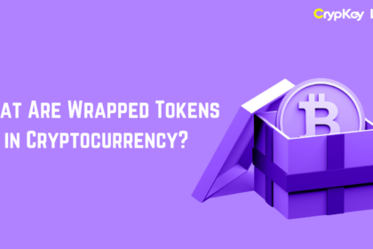 What Are Wrapped Tokens in Cryptocurrency?