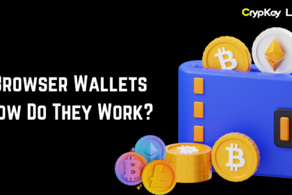 Browser Wallets: How Do They Work?