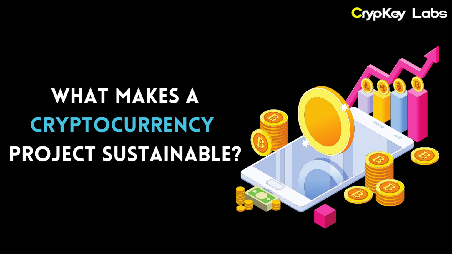 What Makes a Cryptocurrency Project Sustainable?