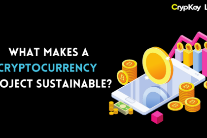 What Makes a Cryptocurrency Project Sustainable?