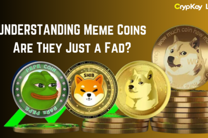 Meme Coins: Are They Just a Fad?