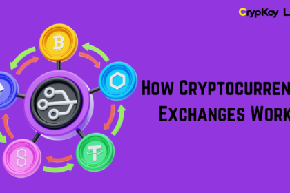 How Cryptocurrency Exchanges Work