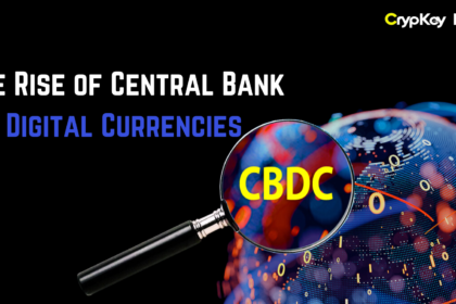 Rise of Central Bank Digital Currencies