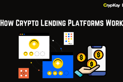 How Crypto Lending Platforms Work