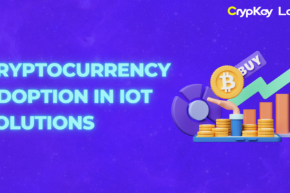 Cryptocurrency Adoption in IoT Solutions