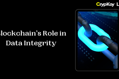 Blockchain’s Role in Data Integrity