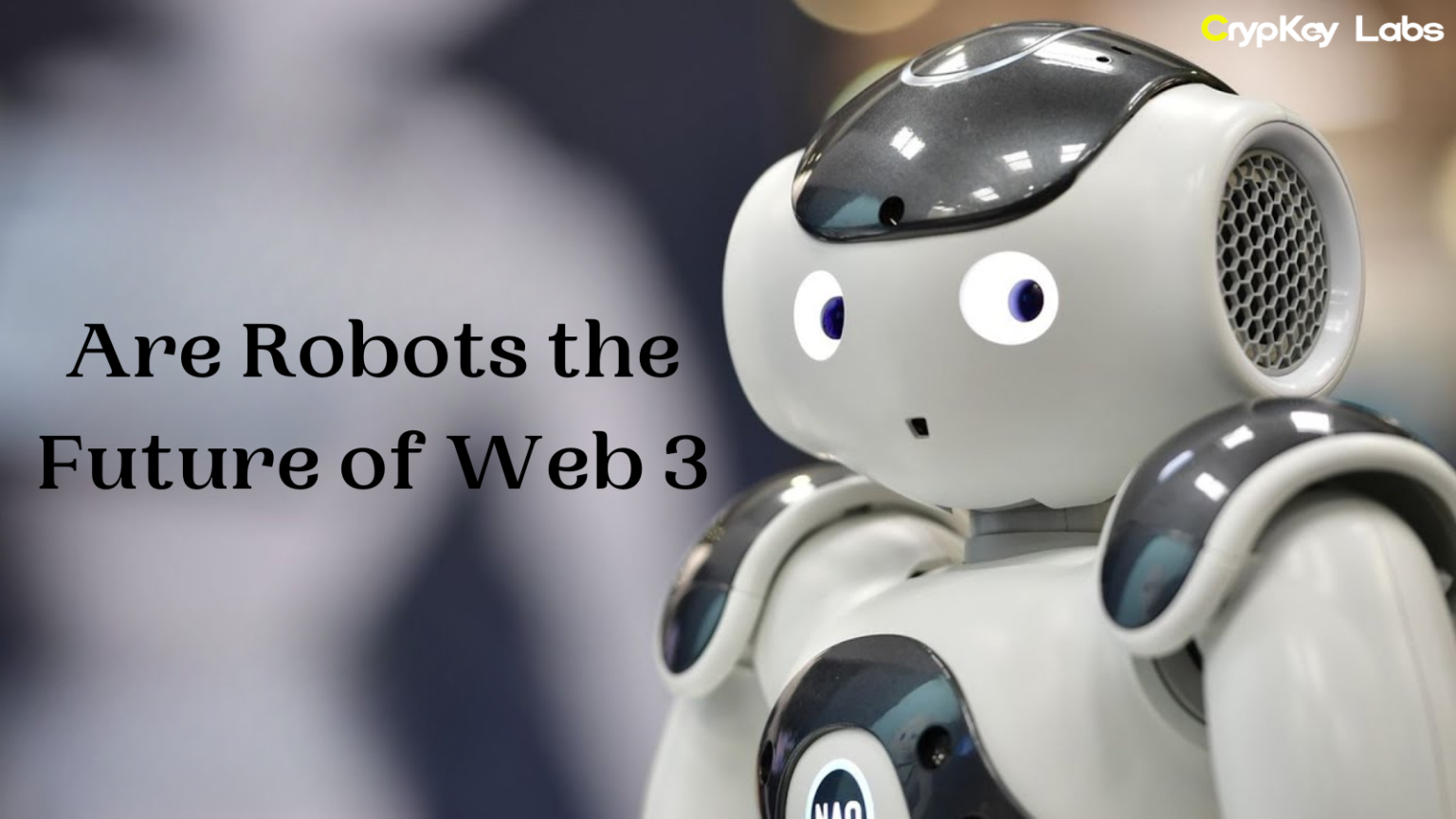 Are Robots the Future of Web 3