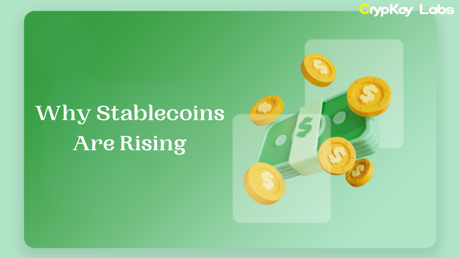 Why Stablecoins Are Rising