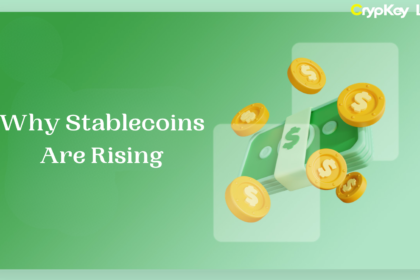 Why Stablecoins Are Rising