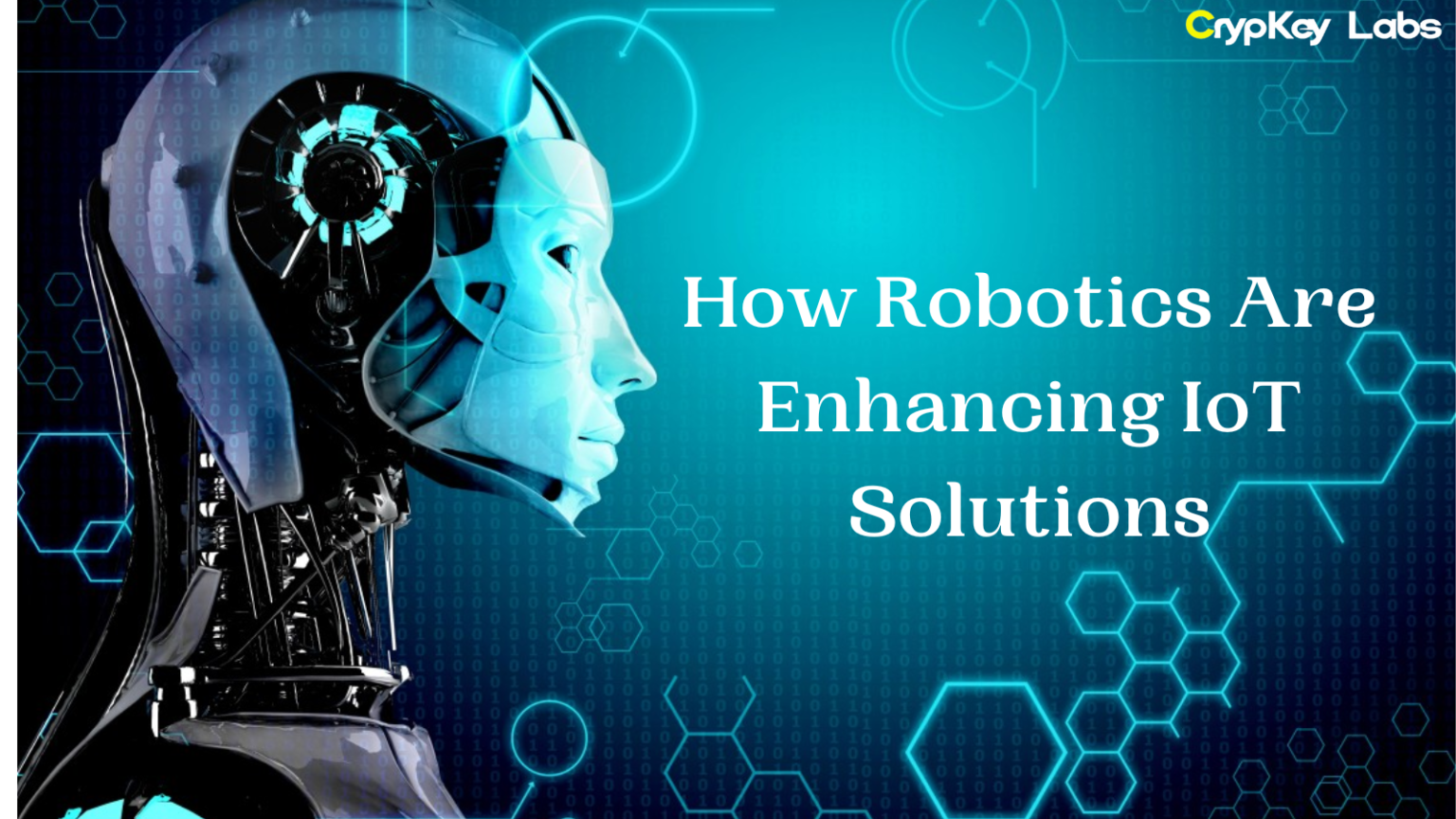 How Robotics Are Enhancing IoT Solutions