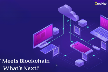 IoT Meets Blockchain What’s Next?