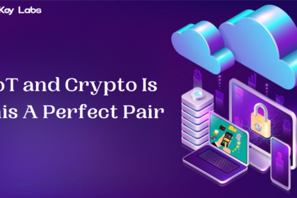 IoT and Crypto Is this A Perfect Pair