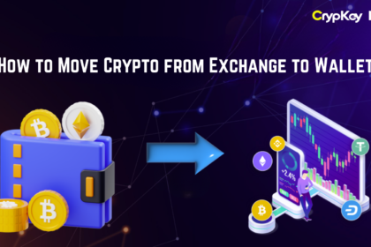 How to Move Crypto from Exchange to Wallet