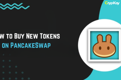 How to Buy New Tokens on PancakeSwap