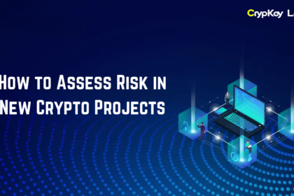 How to Assess Risk in New Crypto Projects