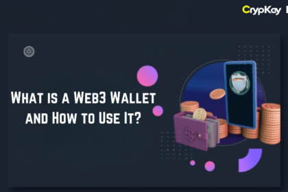 What is a Web3 Wallet and How to Use It?