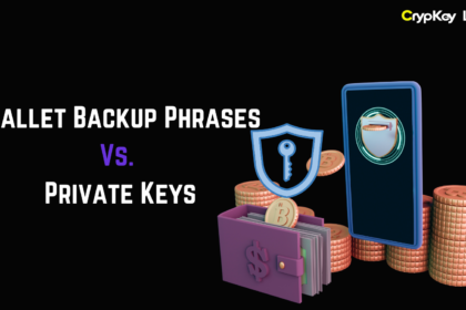 Wallet Backup Phrases Vs. Private Keys