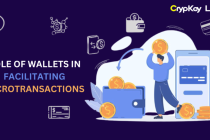 Role of Wallets in Facilitating Microtransactions