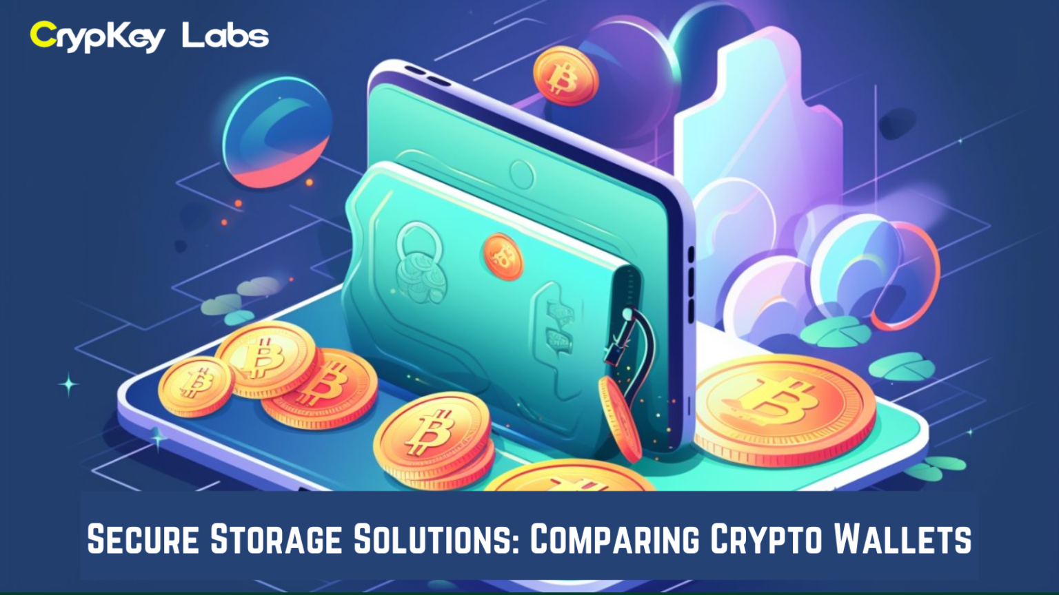 Secure Storage Solutions: Comparing Crypto Wallets