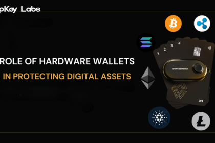 Role of Hardware Wallets in Protecting Digital Assets