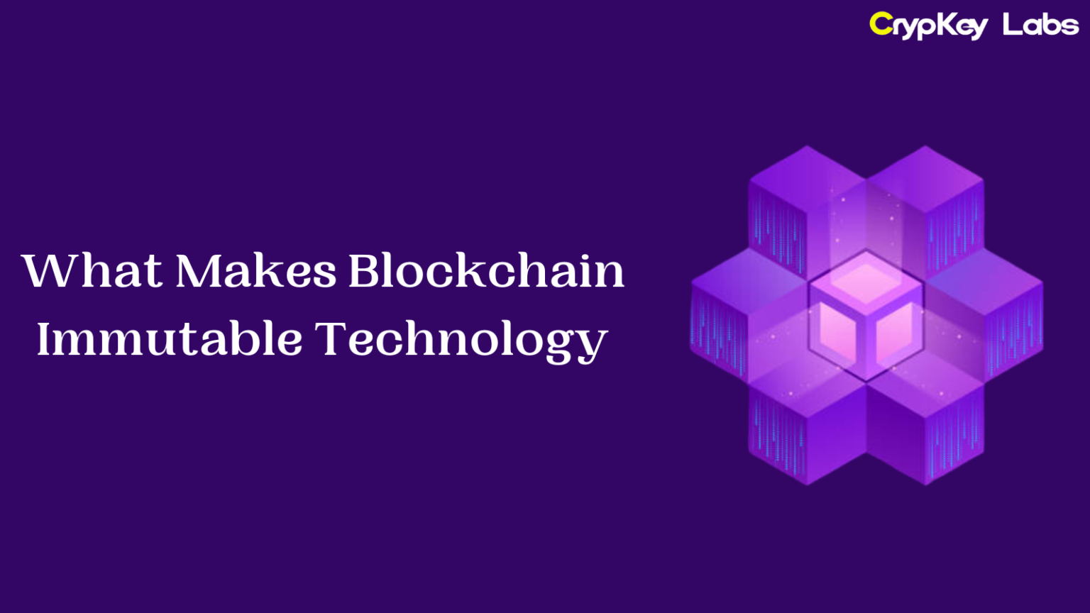 What Makes Blockchain Immutable Technology